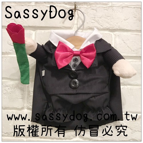 ★ 西裝 ★ 站立裝 > 站立裝 > SassyDog 日韓寵物精品服飾