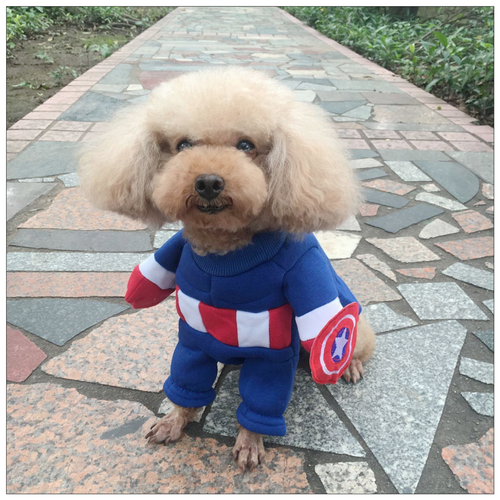 隊長~站立裝 > 站立裝 > SassyDog 日韓寵物精品服飾